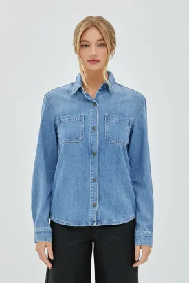 HIDDEN Slim Fit Denim Button Down Top