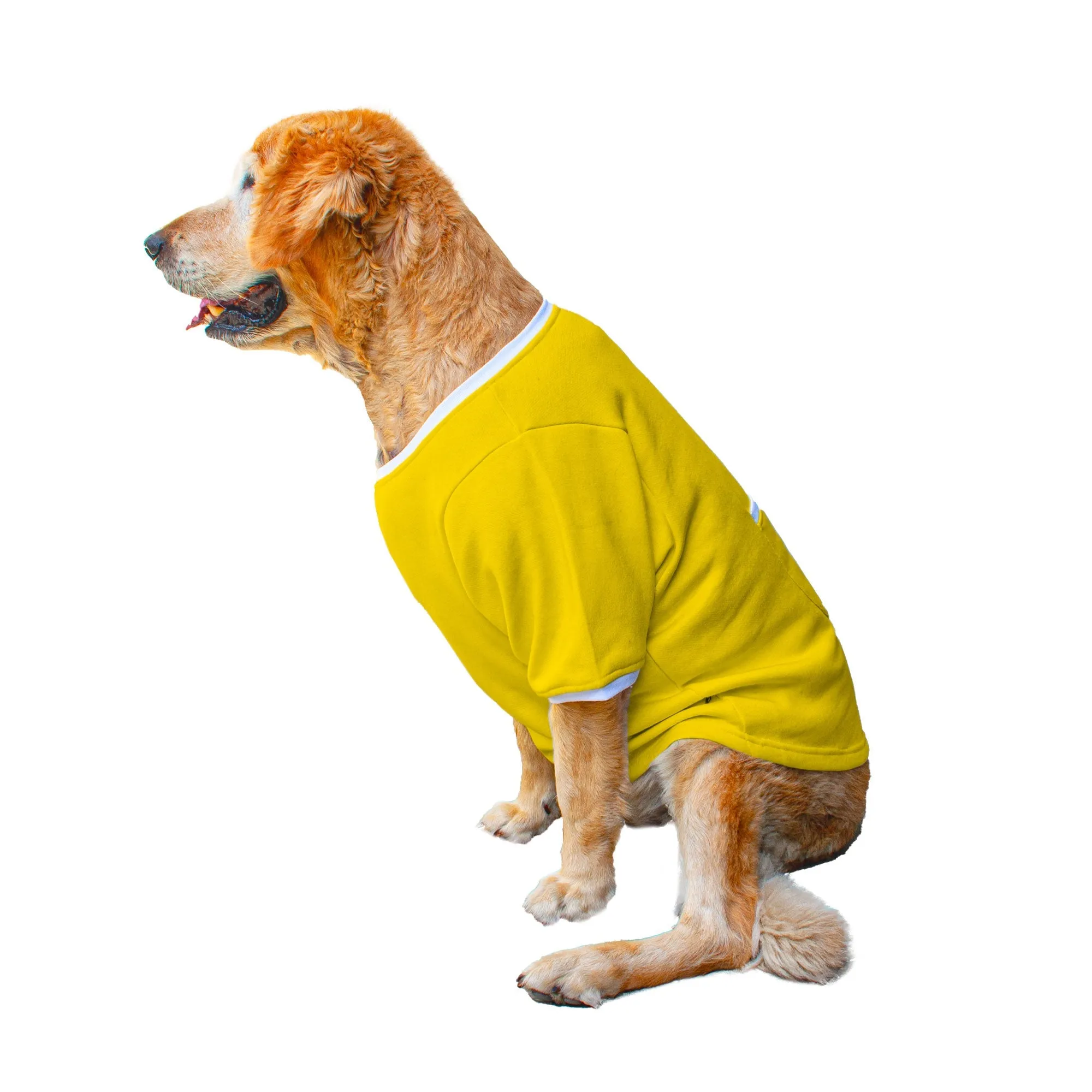 Ruse 'Basics' "Who Needs A Pot Of Gold?" Printed Crew Neck Full Sleeve Expedition Sweatshirt For Dogs